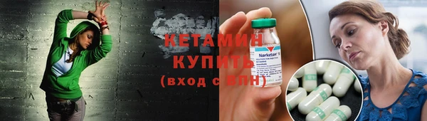 прущие грибы Переславль-Залесский