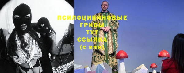 кокс Корсаков